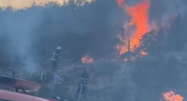 Gaziantep'te 5 dönümlük orman yandı