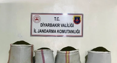 Lice’de 68 kilo toz esrar ele geçirildi