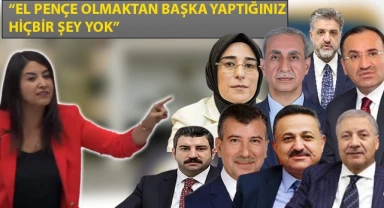 Vekil Ayan meydan okudu! "AK Parti Urfa vekilleri gelip söz alsınlar"