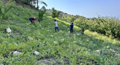 Kavurucu sıcağa karşı tarladaki karpuzlara alternatif çözümler!