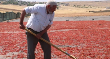 Urfa'nın acı mesaisi 45 derece altında başladı!