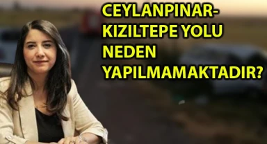 Urfa Vekili Ayan: Ceylanpınar-Kızıltepe yolunun yapılması için ne zaman adım atılacaktır?