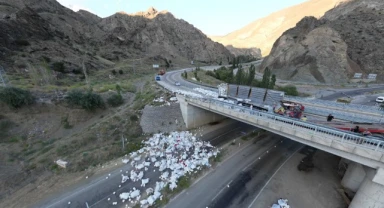 Freni boşalan tır devrildi: 1 ölü