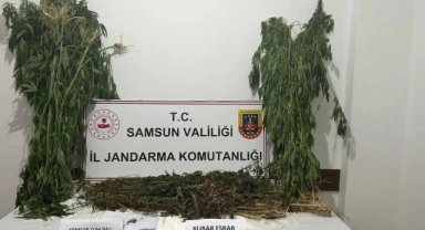 Samsun'da 6 kilo 550 gram kubar esrar ele geçirildi