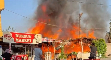 Şanlıurfa'da korkutan yangın