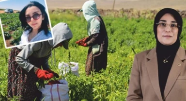 Göktepeli'den Yazmacı'ya tepki:  "kendi şehrinize sahip çıkın!"