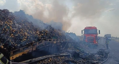 Mardin’de armut yüklü tır alevlere teslim oldu