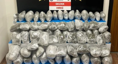 Tırda 49 kilo skunk maddesi ele geçirildi