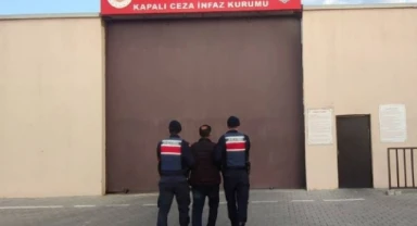 FETÖ terör örgütü üyesi şüpheli şahsı jandarma yakaladı