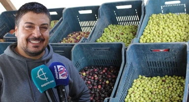 Şanlıurfa'da sofralık zeytin tezgâhlara geldi! İşte güncel fiyatlar