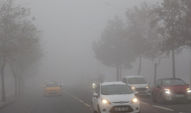 Diyarbakır'da yoğun sis var! Uçaklar inemedi