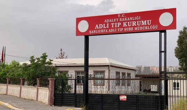 Urfa’da feci olay! Ağaçta asılı bulundu