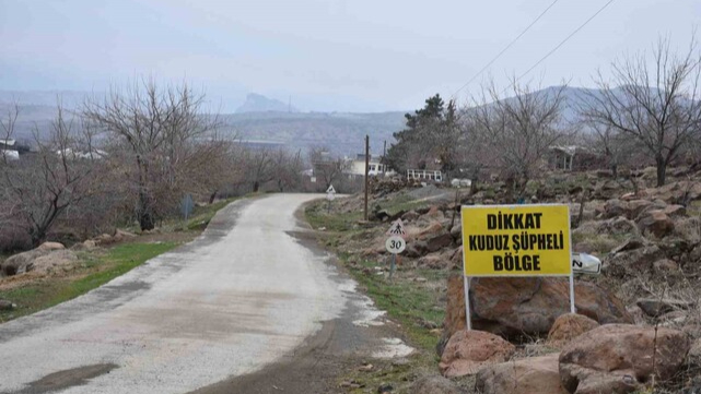 Siverek'te Kuduz Vakası: 3 Kişi Yaralandı, Köy Karantinaya Alındı!