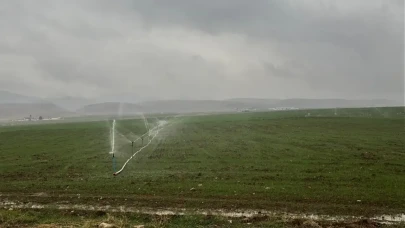 Yağmurlu havada kaçak elektrik ile sulama yaptılar