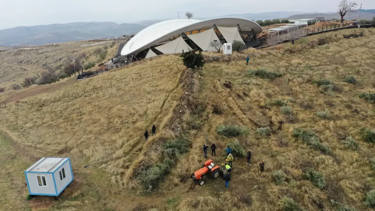 Göbeklitepe’de zeytin ağaçları taşınıyor! İşte gerekçesi