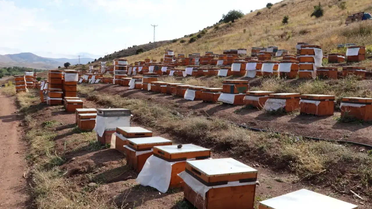 Şanlıurfa, bal üretiminde ilk 10’a girdi