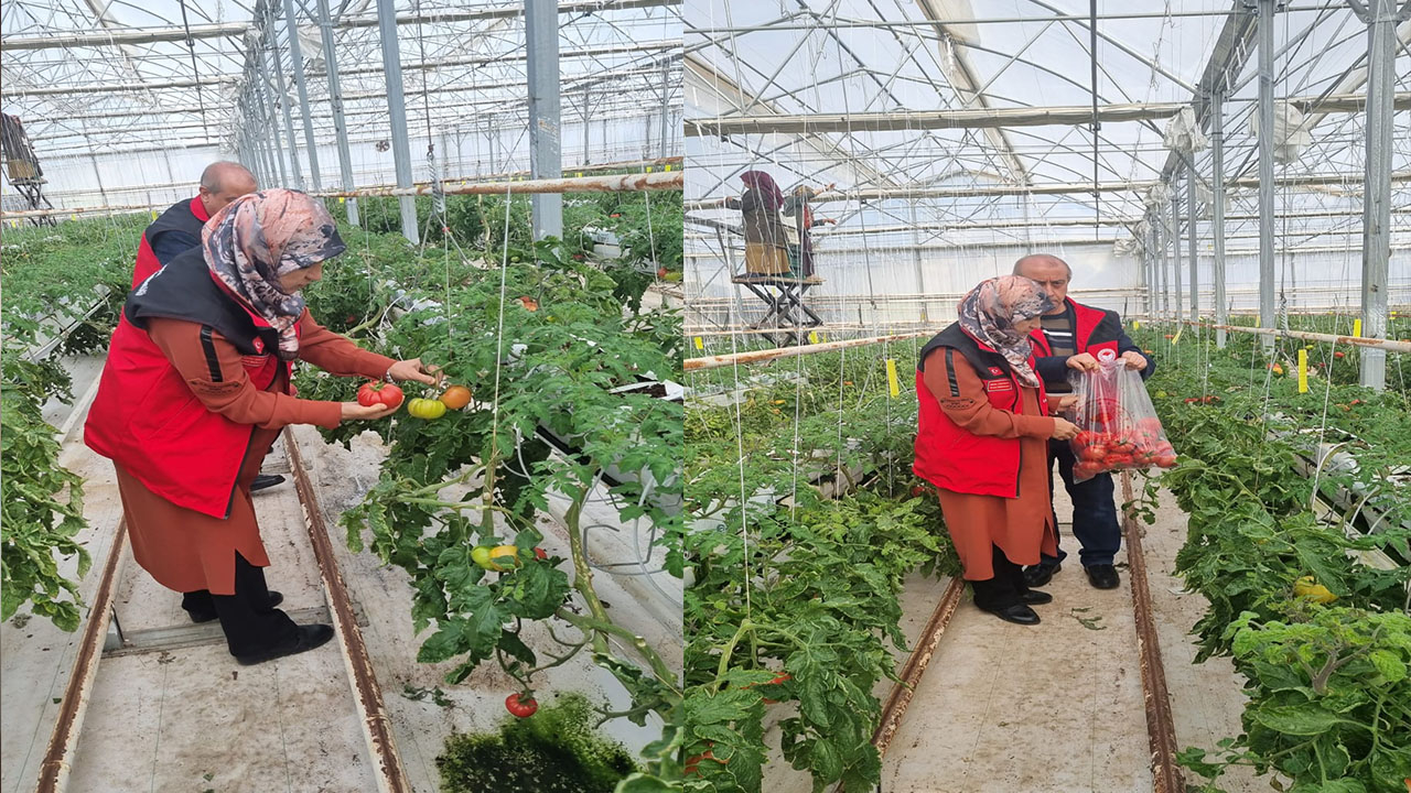 Şanlıurfa'da zirai ilaç denetimleri yapıldı!