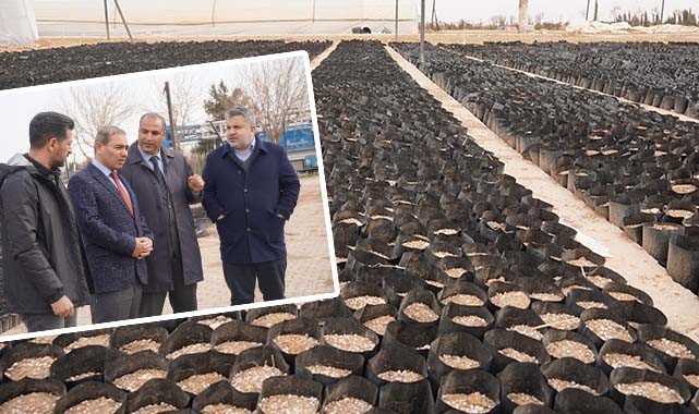 Şanlıurfa'da yüz binlerce tescilli Urfa Fıstığı toprakla buluştu! Ücretsiz...