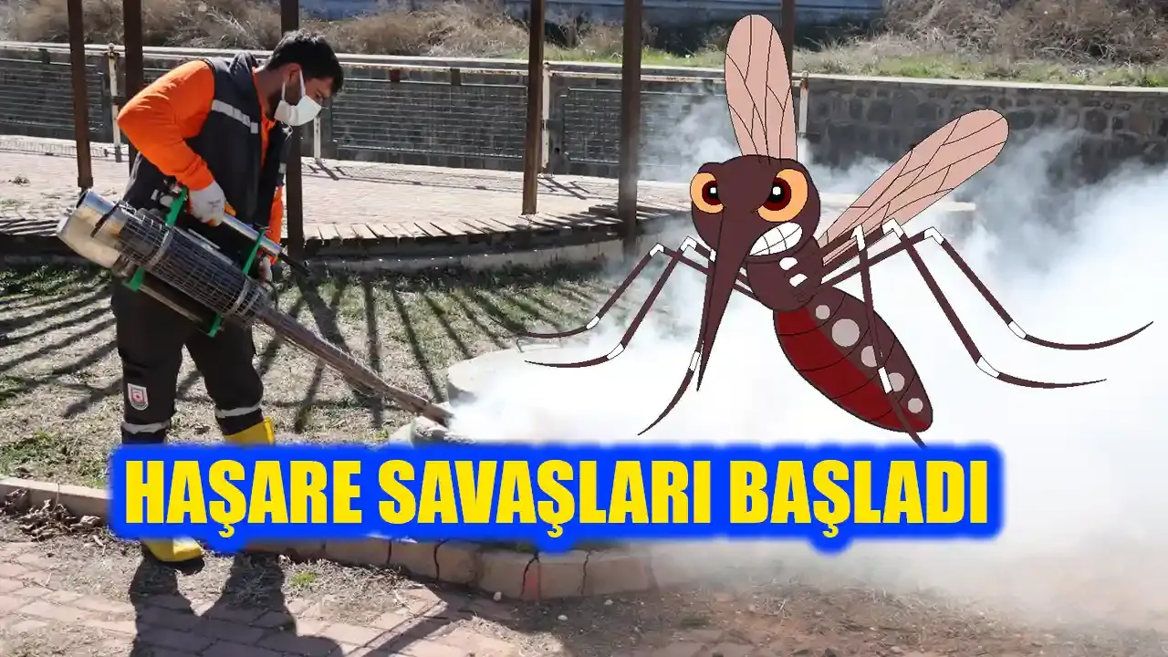 Şanlıurfa’da haşere savaşları başladı