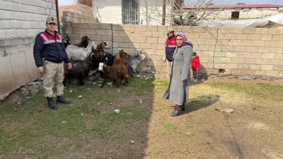 Siverek'teki Hayvan Hırsızlığı Olayı Çözüldü: 7 Gözaltı