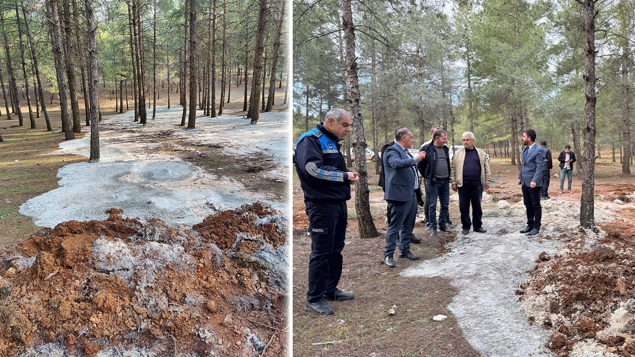 Şanlıurfa Atatürk Ormanı’na dökülen beton için inceleme başlatıldı