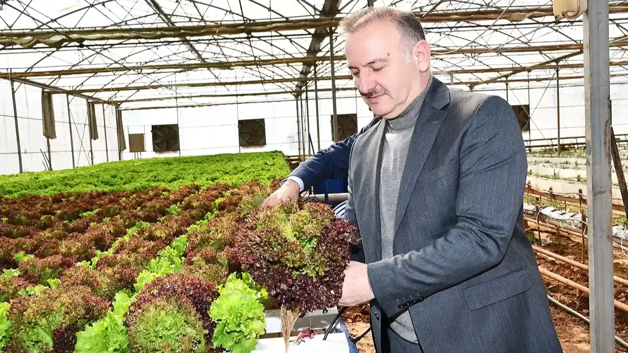 Şanlıurfa’da topraksız serada biber yetişti