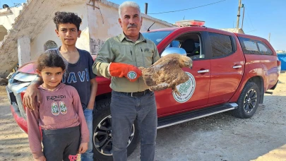 Şanlıurfa’da yaralı halde bulundu! Tedavi altına alındı